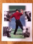 Tiger Woods Upper Deck Authenticated Autographed 16x20 Photo