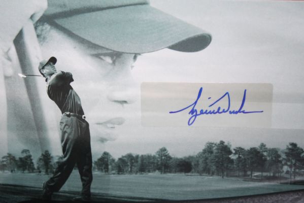 Tiger Woods UDA Range Ball Autographed Display 