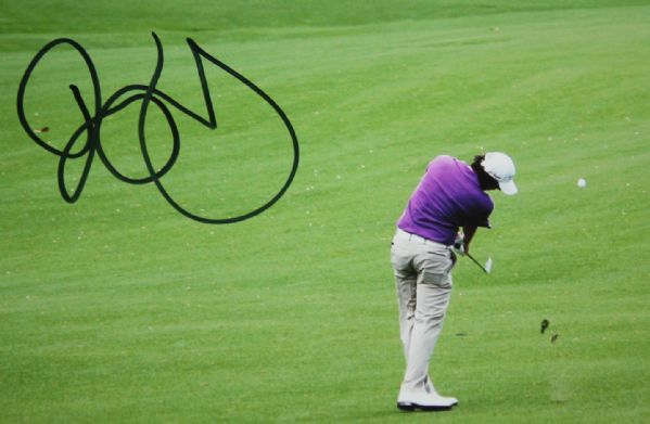 Rory McIlroy Signed 11x14 Photo - Purple Shirt JSA COA