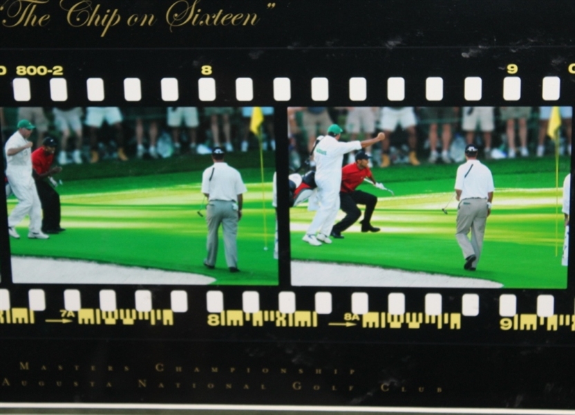 2005 UDA Masters Tiger Woods Signed Film Clip - 16 Chip In #BAK20505 - Framed