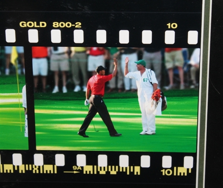 2005 UDA Masters Tiger Woods Signed Film Clip - 16 Chip In #BAK20505 - Framed