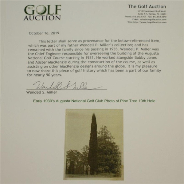 Early 1930's Augusta National Golf Club Type 1 Original Photo of Pine Tree w/ Architects 10th Hole