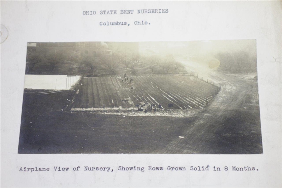 1920's Photos of Ohio State Bent Nurseries - Columbus, OH. - Wendell Miller Collection