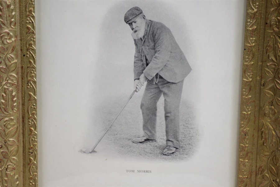 Circa 1890's Old Tom Morris Addressing Golf Ball Print - Framed