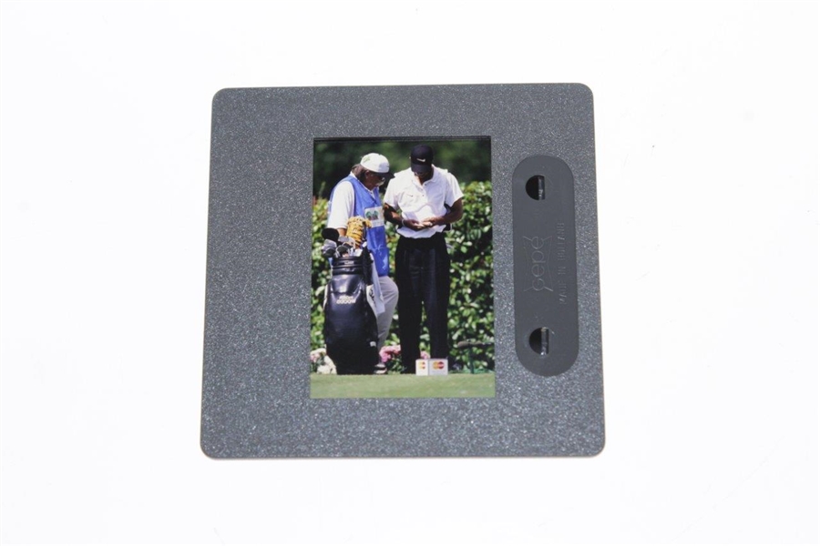 Tiger Woods Original Colonial with Fluff Color Slide & Print - Comes with Photo Rights
