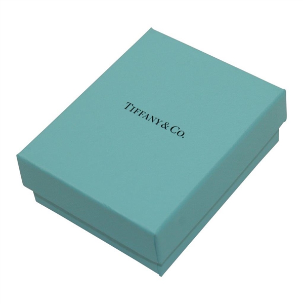 Tiffany & Co Sterling Silver Masters Clubhouse Charm In Box