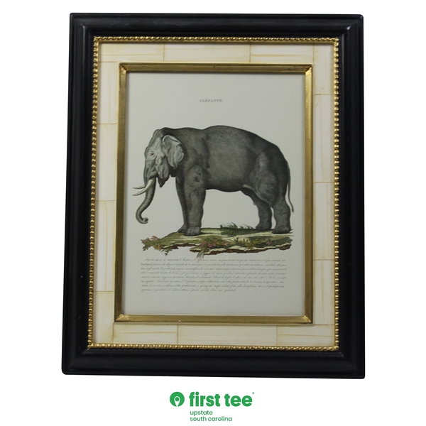 Elefante' Display Print - Framed
