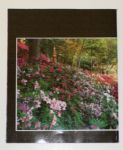 2006 Masters Journal