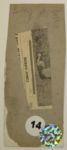 1929 Wire Photo Bobby Jones-Prized Full Length Swinging Image