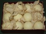 Ocobo Gutta Percha Golf Balls Pristine DOZEN in Original Box FINEST KNOWN 