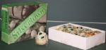 Silvertown Dimple Doz Golfballs in Original Box
