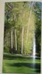 2007 Masters Spectator Guide