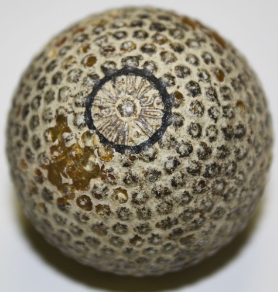 Spalding Bramble Golf Ball
