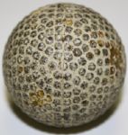 Spalding Bramble Golf Ball