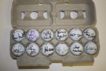 Lot of 12 Signed Golf Balls #22