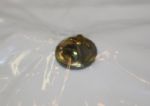 Augusta National Golf Club Member Pin 1990's Hard to Get!