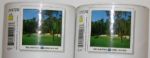Lot of Two Masters 2003 Commemorative Posters - Azalea
