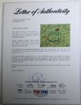 Champs Undated Masters Flag Signed by 34 Champions-LAYS CLAIM TO BEST-PSA,JSA Dual Certed