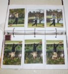 Lot of 204 Original Photos of PGA Golfers with Negatives and Rights 