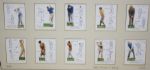 Framed Pre-War Cigarette Golf Cards