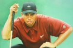 Tiger Woods Oil on Canvas Portrait by Thomas Pomeroy RARE!