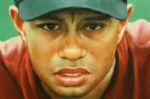 Tiger Woods Oil on Canvas Portrait by Thomas Pomeroy RARE!