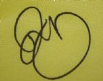 Rory McIlroy Signed 2013 Masters Golf Flag