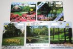 Lot of 10 Masters Badges: 1998-2000, 2003-2008, and 2011