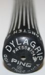 Ping Zing Prototype Driver, Phoenix, AZ  USA