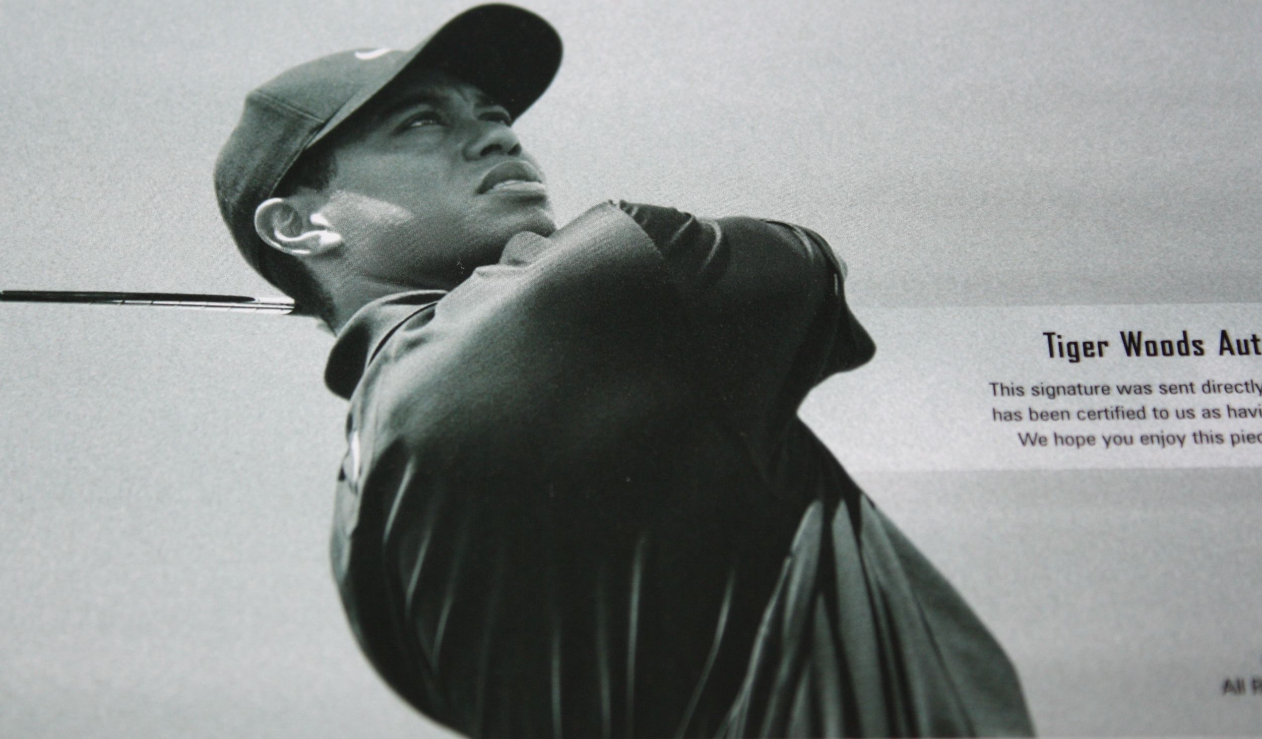 Lot Detail - Tiger Woods UDA Range Ball Autographed Display