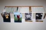 Approximately 1,600 Golf Cards - Jack Nicklaus 'Golden Bear' and 'Legends' (Group A)