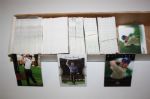Approximately 2,000 Golf Cards - Wide Assortment (Group C)