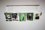 Approximately 2,000 Golf Cards - Wide Assortment (Group D)