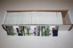 Approximately 2,000 Golf Cards - Wide Assortment (Group D)