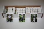 Approximately 2,400 Golf Cards - Wide Assortment: Tiger's Tales, Leaderboard, etc. (Group E)