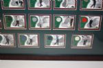 Framed Set of 2001 UDA 'Tour Threads' - 39 Cards