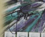 Jack Nicklaus Signed TPC of Tampa Bay GTE Classic Program JSA COA