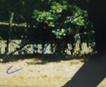 Darren Clarke Signed 8x10 Photo JSA COA