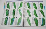 Robert Trent Jones Sr.'s Copy The Viewer's Guide to Professional Golf' by W. McClelland