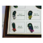 2014 Masters Limited Edition (#93/150) Framed Pin Set-Sold Out Early in The Week