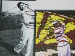 Payne Stewart Signed Shell Houston Open Media Guide JSA COA