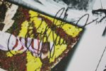 Payne Stewart Signed Shell Houston Open Media Guide JSA COA