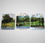 Lot of Three Signed Masters Badges by Respective Winners JSA COA