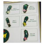 2014 Masters Limited Edition (#93/150) Framed Pin Set-Sold Out Early During Masters Week