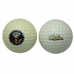 Lot of Two Jerry Ford Signature Model Golf Balls-Originates From Michigan PGA Official