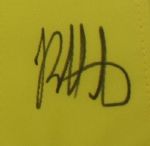 Bubba Watson Signed Undated Masters Embroidered Flag JSA COA
