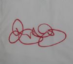 Rory McIlroy Signed 2014 PGA Championship Embroidered Valhalla Flag JSA OA