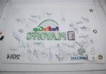 Multi-Signed 2014 PGA Playoffs Embroidered Flag - The Barclays JSA COA