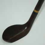 Golf Club Walking Stick
