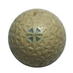 Spalding Vintage Mesh Golf Ball - Blue